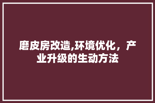 磨皮房改造,环境优化，产业升级的生动方法