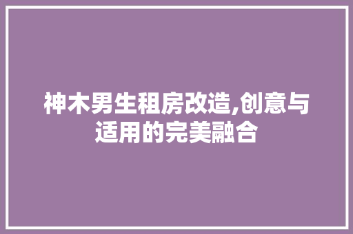 神木男生租房改造,创意与适用的完美融合