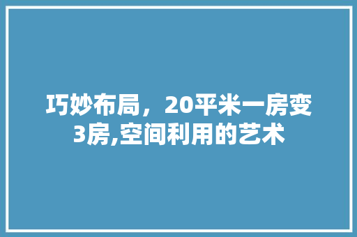 巧妙布局，20平米一房变3房,空间利用的艺术