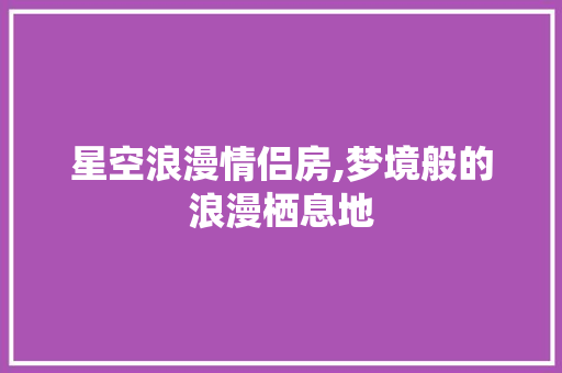 星空浪漫情侣房,梦境般的浪漫栖息地