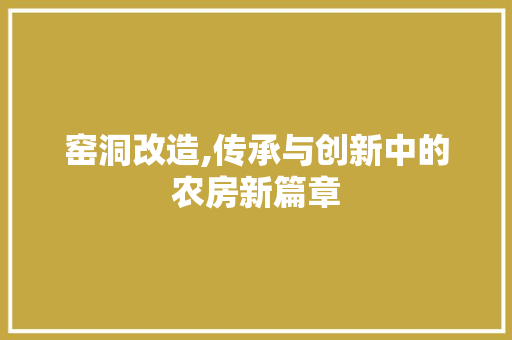 窑洞改造,传承与创新中的农房新篇章