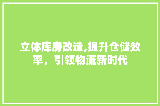 立体库房改造,提升仓储效率，引领物流新时代
