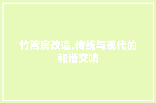 竹篙房改造,传统与现代的和谐交响