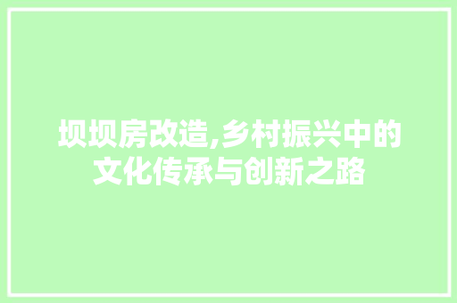 坝坝房改造,乡村振兴中的文化传承与创新之路