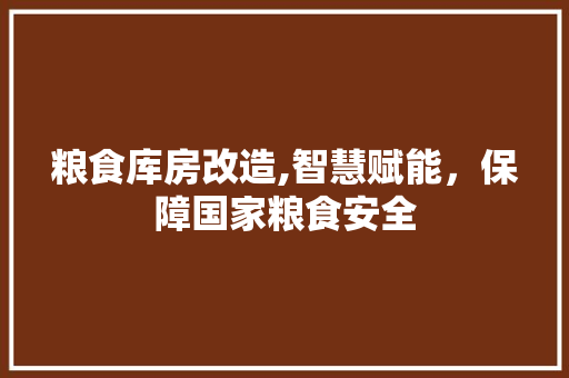 粮食库房改造,智慧赋能，保障国家粮食安全