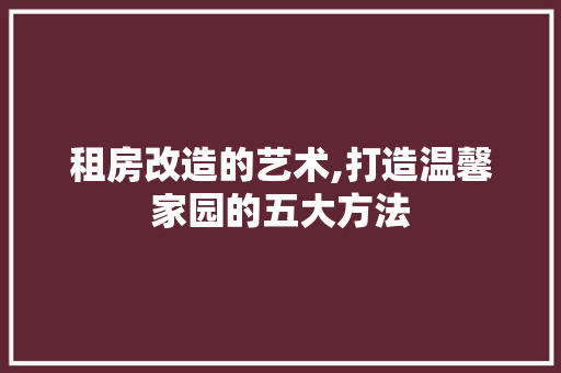 租房改造的艺术,打造温馨家园的五大方法