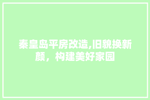 秦皇岛平房改造,旧貌换新颜，构建美好家园