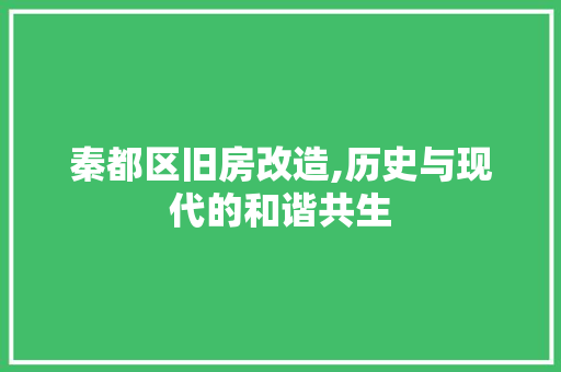 秦都区旧房改造,历史与现代的和谐共生