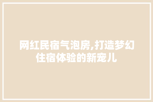 网红民宿气泡房,打造梦幻住宿体验的新宠儿
