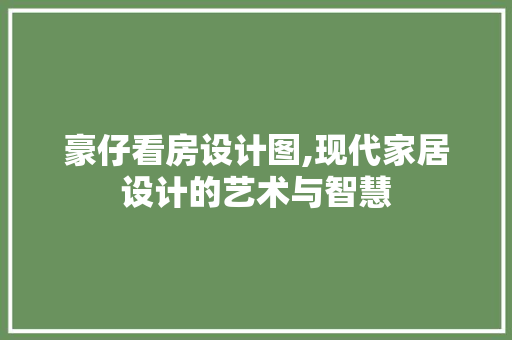 豪仔看房设计图,现代家居设计的艺术与智慧