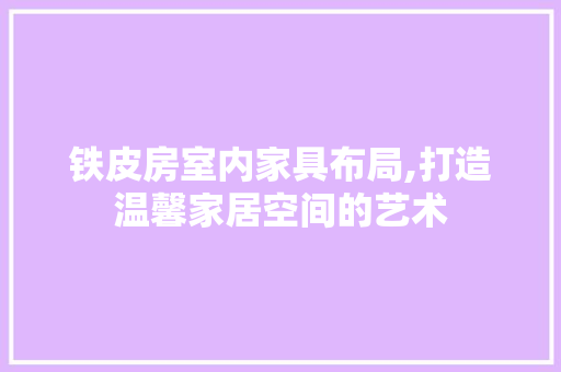 铁皮房室内家具布局,打造温馨家居空间的艺术