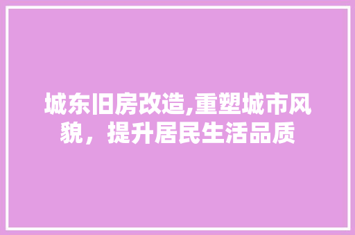城东旧房改造,重塑城市风貌，提升居民生活品质