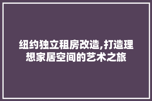 纽约独立租房改造,打造理想家居空间的艺术之旅