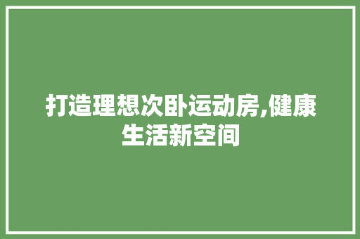 打造理想次卧运动房,健康生活新空间