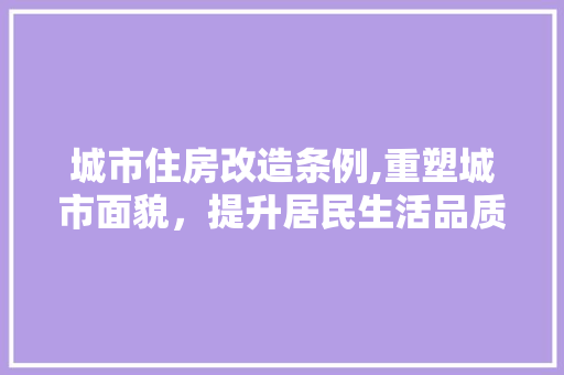 城市住房改造条例,重塑城市面貌，提升居民生活品质