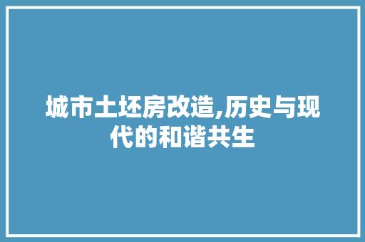 城市土坯房改造,历史与现代的和谐共生