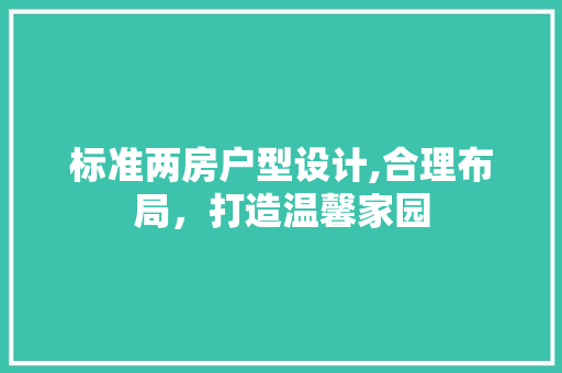 标准两房户型设计,合理布局，打造温馨家园