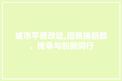 城市平房改造,旧貌换新颜，传承与创新同行