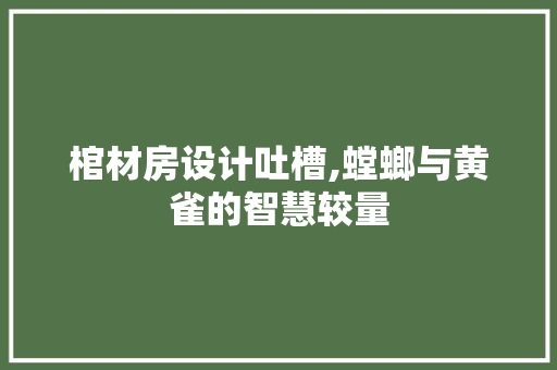 棺材房设计吐槽,螳螂与黄雀的智慧较量