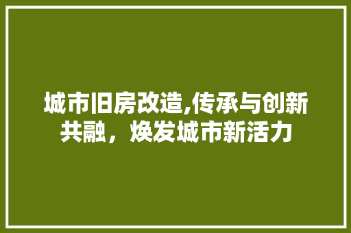 城市旧房改造,传承与创新共融，焕发城市新活力