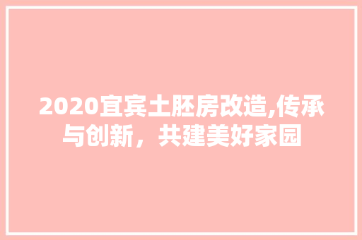2020宜宾土胚房改造,传承与创新，共建美好家园
