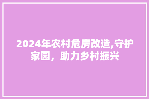 2024年农村危房改造,守护家园，助力乡村振兴