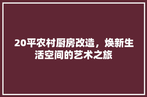20平农村厨房改造，焕新生活空间的艺术之旅