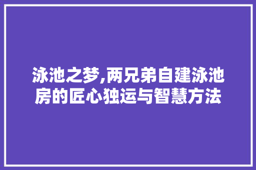 泳池之梦,两兄弟自建泳池房的匠心独运与智慧方法
