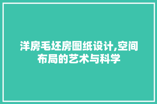 洋房毛坯房图纸设计,空间布局的艺术与科学