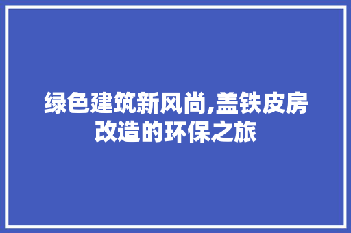 绿色建筑新风尚,盖铁皮房改造的环保之旅