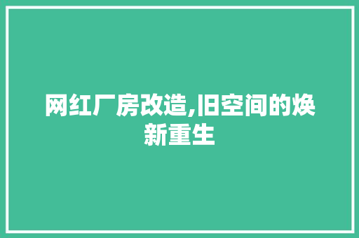 网红厂房改造,旧空间的焕新重生