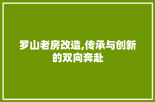 罗山老房改造,传承与创新的双向奔赴
