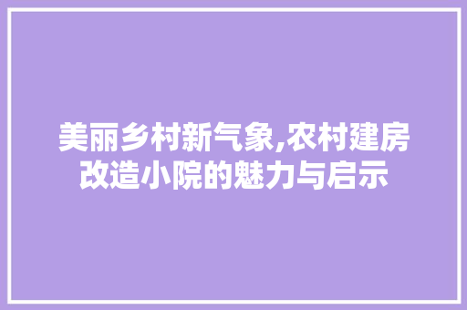 美丽乡村新气象,农村建房改造小院的魅力与启示