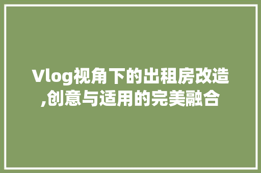 Vlog视角下的出租房改造,创意与适用的完美融合