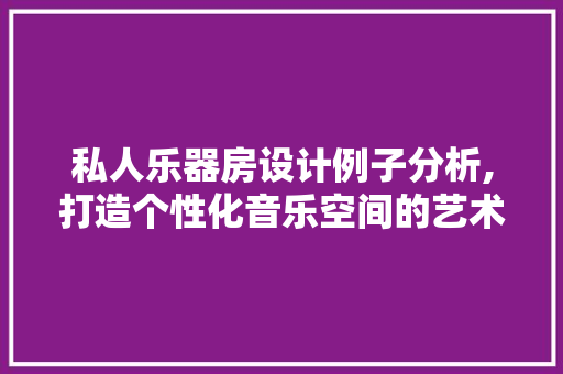 私人乐器房设计例子分析,打造个性化音乐空间的艺术之旅