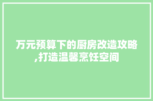 万元预算下的厨房改造攻略,打造温馨烹饪空间