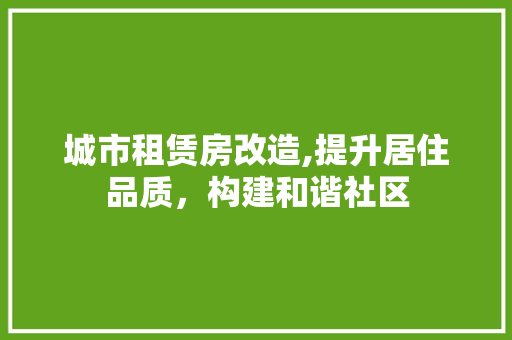 城市租赁房改造,提升居住品质，构建和谐社区
