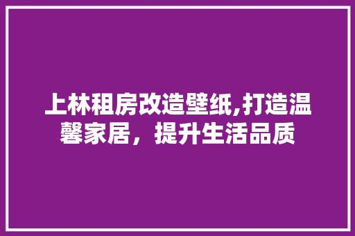 上林租房改造壁纸,打造温馨家居，提升生活品质
