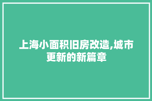 上海小面积旧房改造,城市更新的新篇章