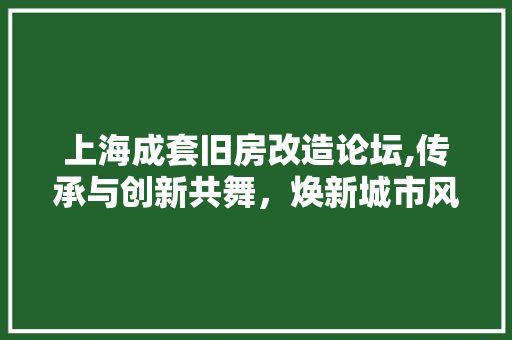 上海成套旧房改造论坛,传承与创新共舞，焕新城市风貌