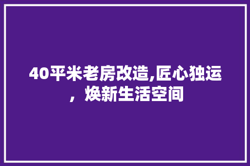 40平米老房改造,匠心独运，焕新生活空间