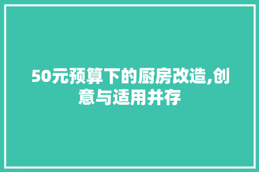 50元预算下的厨房改造,创意与适用并存