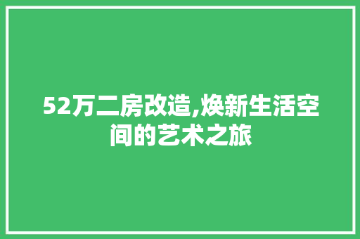 52万二房改造,焕新生活空间的艺术之旅