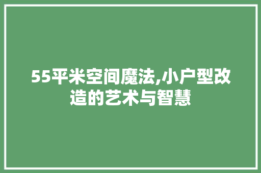 55平米空间魔法,小户型改造的艺术与智慧