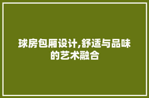球房包厢设计,舒适与品味的艺术融合