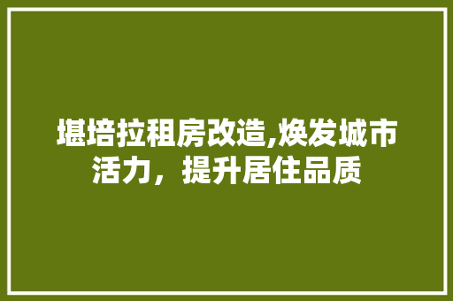 堪培拉租房改造,焕发城市活力，提升居住品质