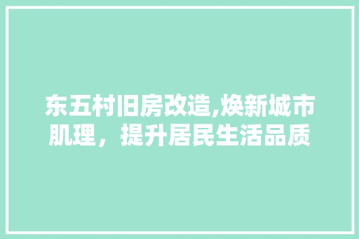 东五村旧房改造,焕新城市肌理，提升居民生活品质