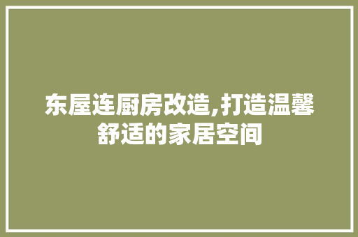 东屋连厨房改造,打造温馨舒适的家居空间