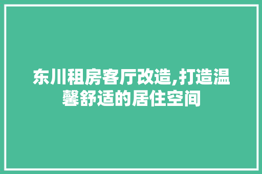 东川租房客厅改造,打造温馨舒适的居住空间