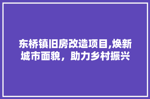 东桥镇旧房改造项目,焕新城市面貌，助力乡村振兴